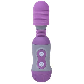 Joy Wand Private Secret Purple