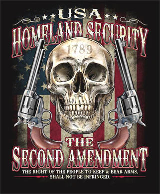 2nd Amendment Skull USA Tee Large